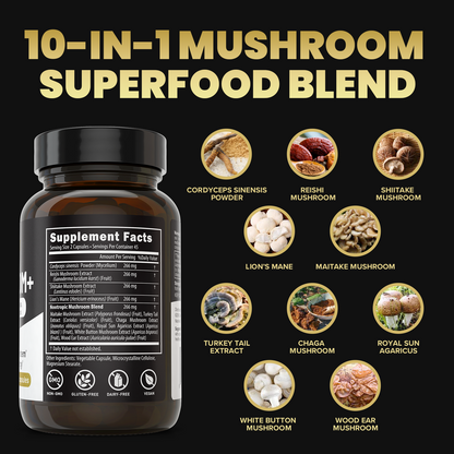 Mushroom+
